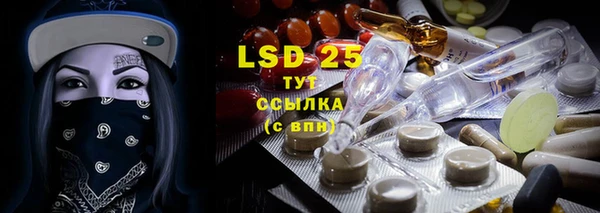 дживик Бронницы