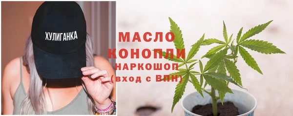 дживик Бронницы