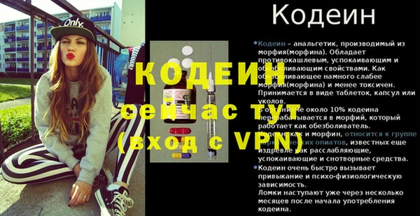 дживик Бронницы
