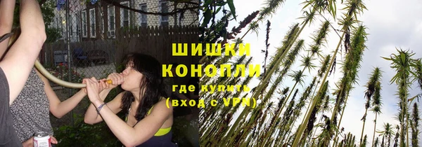 дживик Бронницы