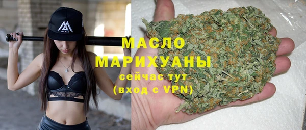 дживик Бронницы