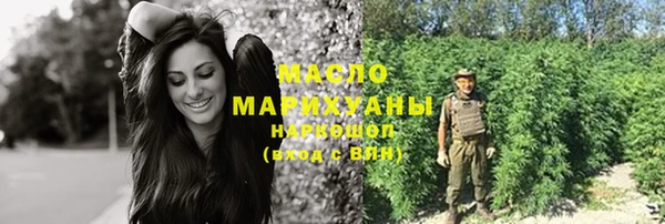 дживик Бронницы