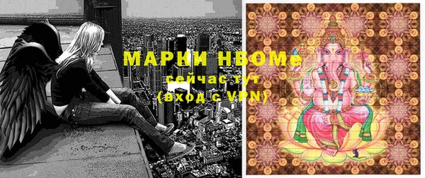 дживик Бронницы