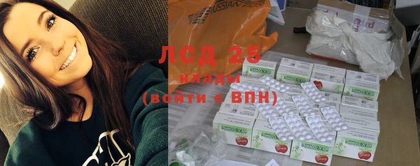 круглые Бородино