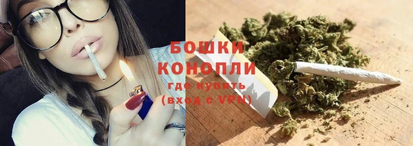 стаф Бугульма
